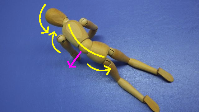 キャットエクササイズ4