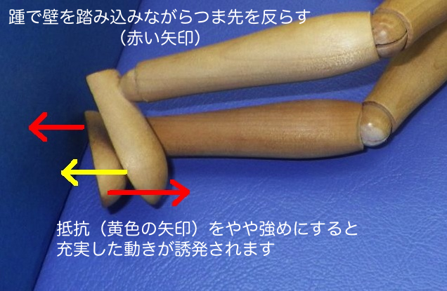 ���̓��������ƒ�R�̊|����