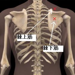 ����؁E�����؂̈��ɓ_�}��