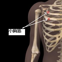 �����؂̈��ɓ_�}��