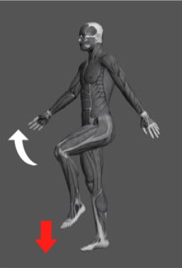 操体法基本運動2