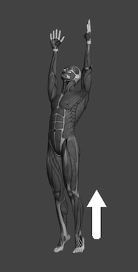 ���̖@�̊�{�^��3