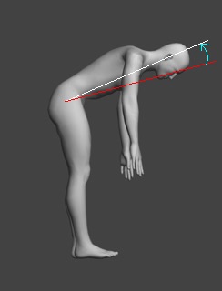 操体法基本運動5前屈