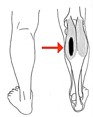 �ӂ���͂��̂�����