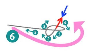 �䂪�݂������傫�ȗ�